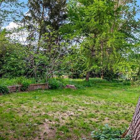 Altstadt Apartment Am Wasser Mit Parkplatz Und Grossem Garten Bad Kreuznach Zewnętrze zdjęcie